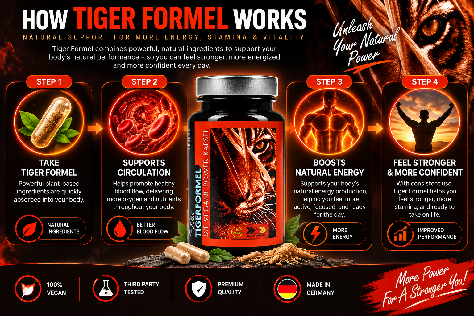 Diagram showing how TigerFormel is taken daily and the general role of its ingredients in circulation and energy support